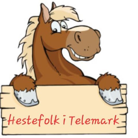 Facebook gruppe for Hestefolk i Telemark.