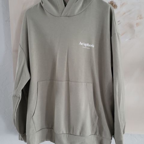 Hoodie fra HM Ae/uphorie Relaxed fit