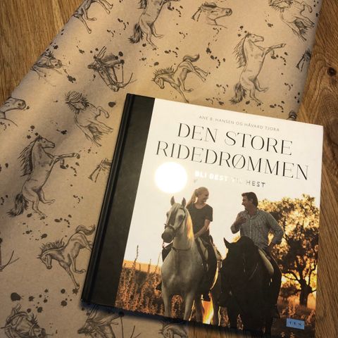 Den store ridedrømmen