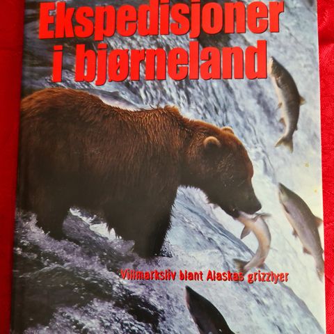 Lars Monsen, Ekspedisjoner i Bjørneland
