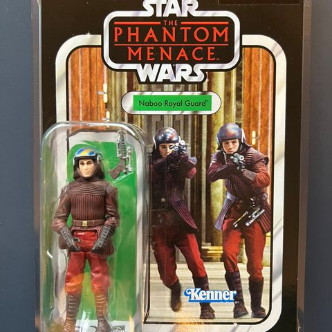 Star Wars - The Vintage Collection 2010-2013 - VC83 Naboo Royal Guard