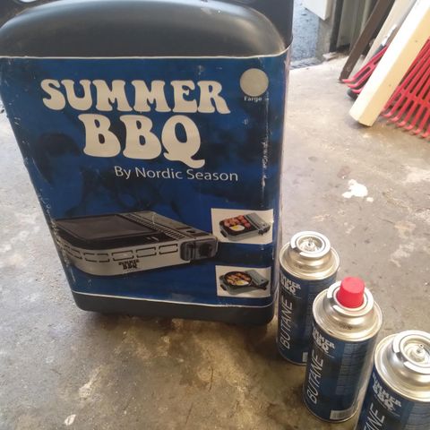 Summer BBQ gass grill