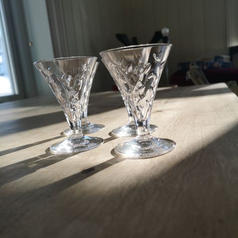 Aquavit glass