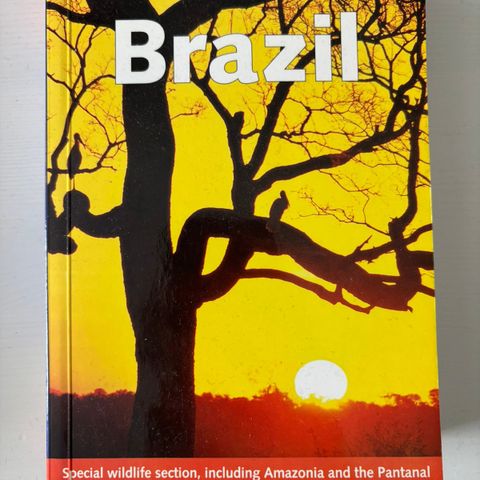 Lonely Planet Brazil