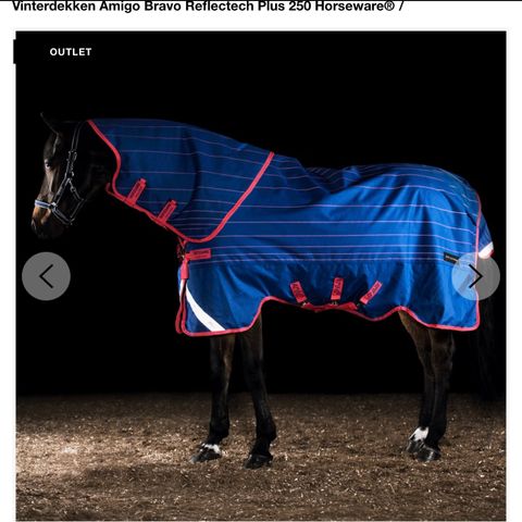 Horseware amigo bravo reflectech