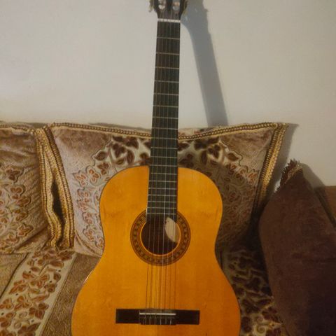Morgan gitar