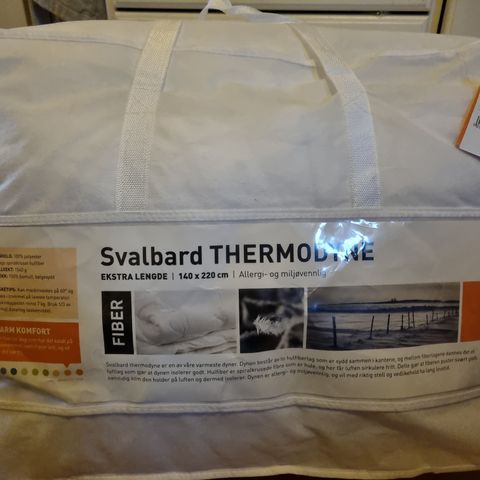 LANG THERMODYNE