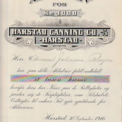 AKSJEBREV I HARSTAD CANNING CO  A/S - HARSTAD  1916