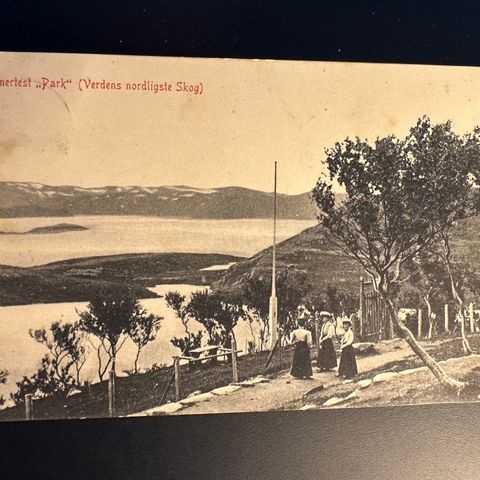 Gammelt postkort Hammerfest Park (2462 AN)