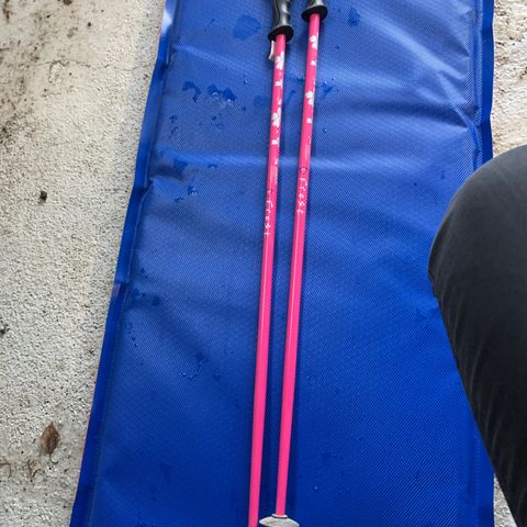 Alpinstaver 85 cm Frost