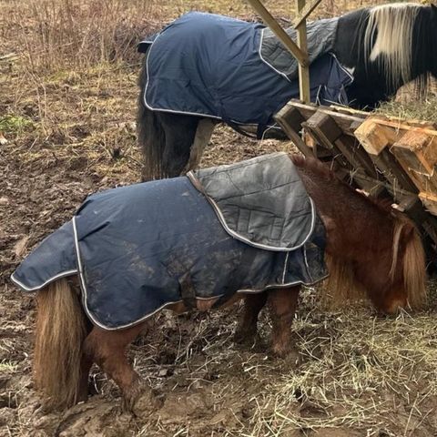 Horze Glasgow Pony utedekken med hel hals, 100 gram