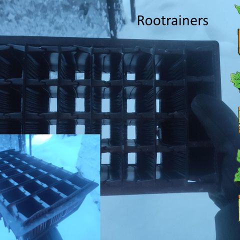20 stk Rapid Rootrainers