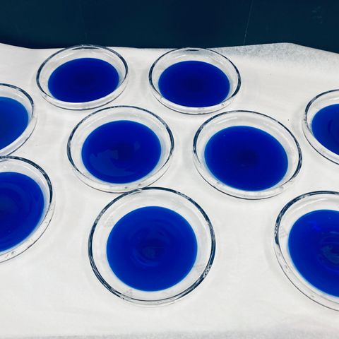 Hadeland Glassverk - Blå drue dessertskåler