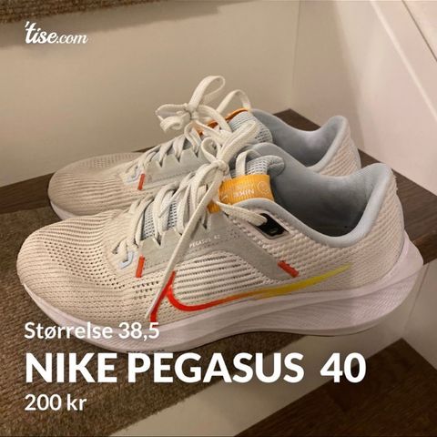 Nike pegasus 40