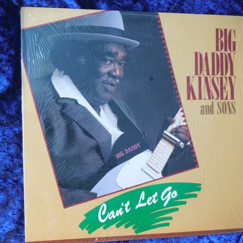 BIG DADDY KINSEY AND SONS - CHICAGO BLUES 1990 - LEGENDE - JOHNNYROCK