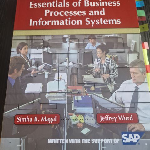 Essentials of Busines Processes and Information Systems.