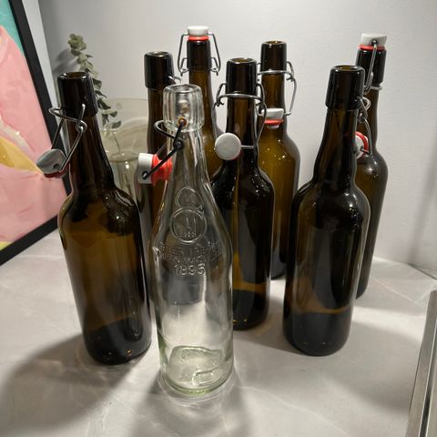 Flasker til ølbrygg / Kombucha 75CL