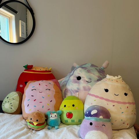 Diverse Squishmallows