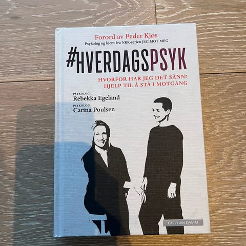 Hverdagspsyk