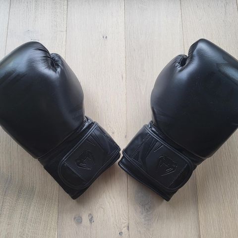 Nye Venum boxing gloves (16 oz)