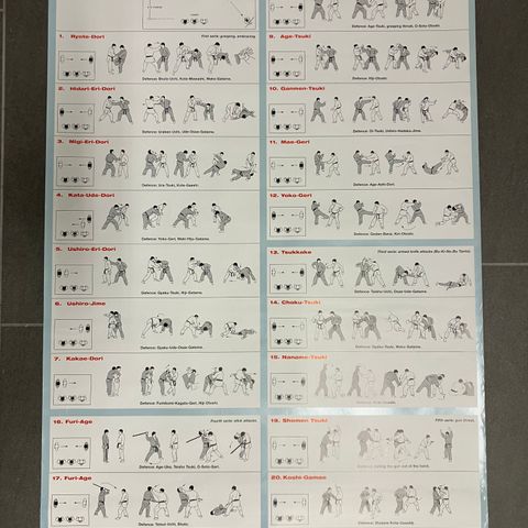 Poster, plakat med Goshin Jitsu no Kata teknikker. Kampsport