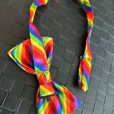 herre sløyfe/slips  Pride