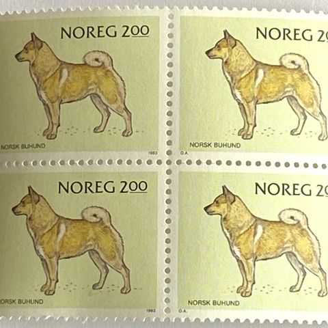 Norge 1983 Norske huderaser Bunhund   NK 926 4-blokk  Postfrisk