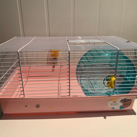 Hamster. Diverse utstyr og bur. Kun kr 500 for alt