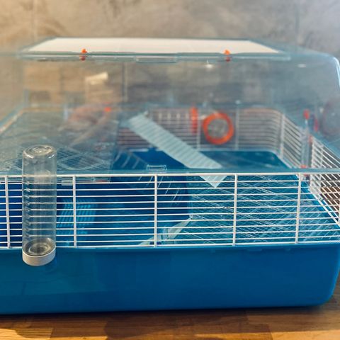 Hamsterbur og oppstartspakke til hamster