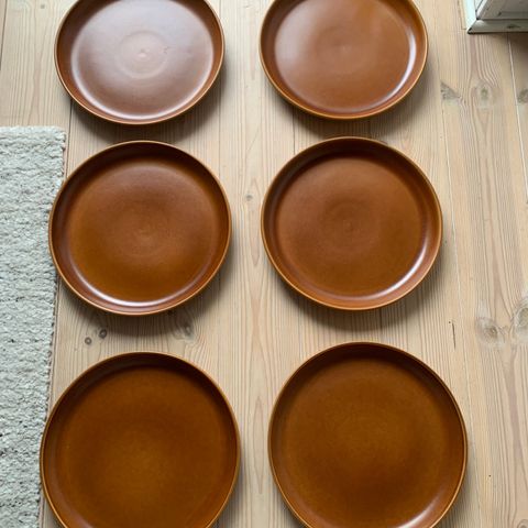 Dansk design rustfarget keramikk asjetter