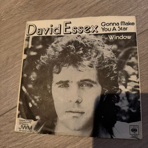 David Essex gonna make you a star singel/plate/LP