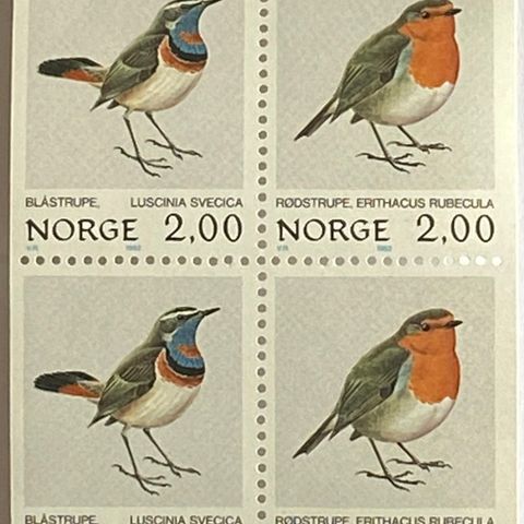 Norge 1982 Norske Fugler Blåstrupe og Rødstrupe  NK 908-909 4-blokk  Postfrisk