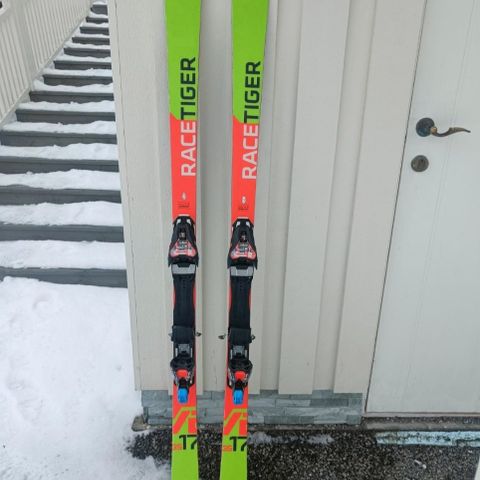 Völkl GS fis ski