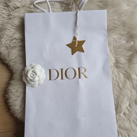 Dior Shopping Gift Bag Metallic Logo Star Small White Gold RARE  38 × 25