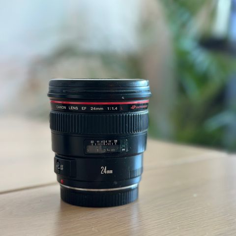 Canon EF 24mm f1./4L