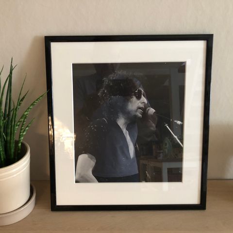 BOB DYLAN Unikt & orig foto DRAMMENSHALLEN 1981 Profesjonelt innrammet FRI PORTO