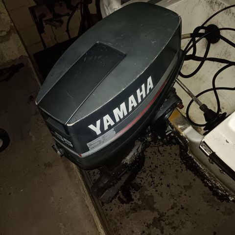 Yamaha 55 hp