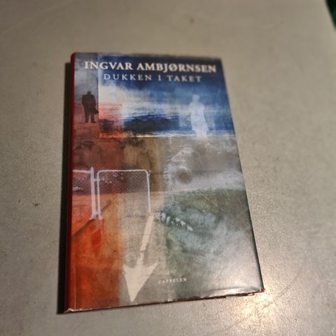 Ingvar Arnbjørnsen - Dukken i Taket