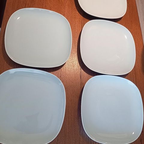 5 lyseblå  middags tallerker