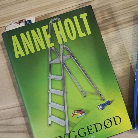 Anne Holt skyggedød