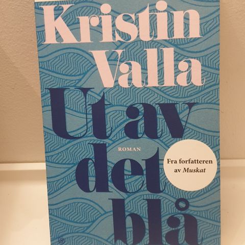 Bok"Ut av det blå" av Kristin Valla