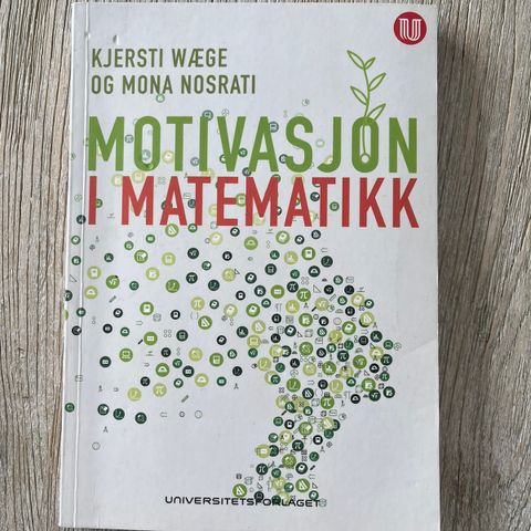 Motivasjon i matematikk