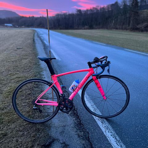 specialized Allez Sprint til salgs