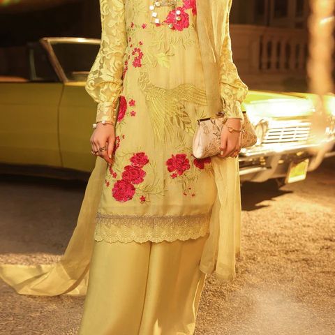Pakistansk merkeklær/ Festklær/ Indiske klær