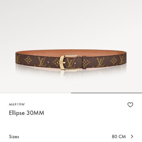 Louis Vuitton Ellipse belte