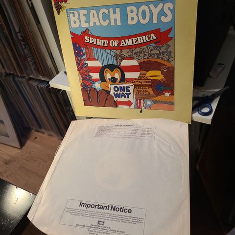 The Beach Boys spirit of america