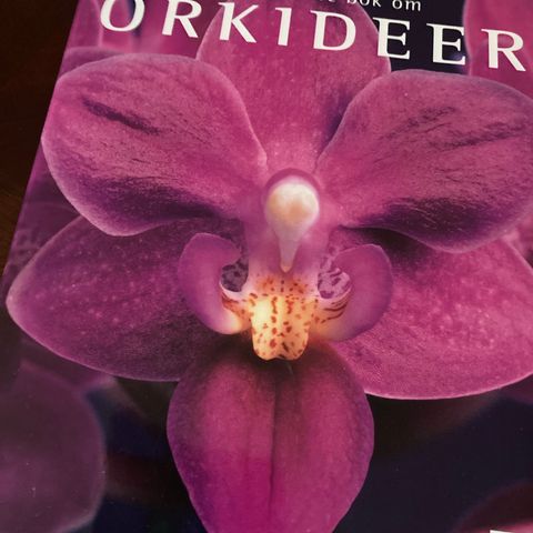 Damms store bok om orkideer.  Som ny