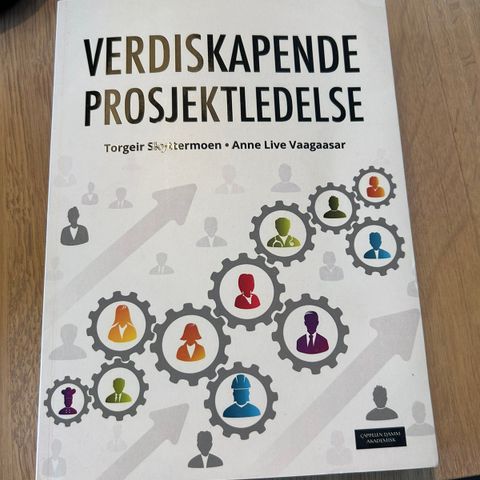 Verdiskapende prosjektledelse