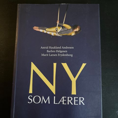 Ny som lærer