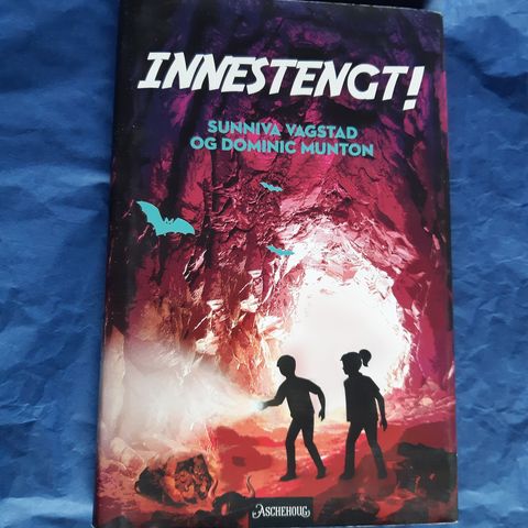 Innestengt!